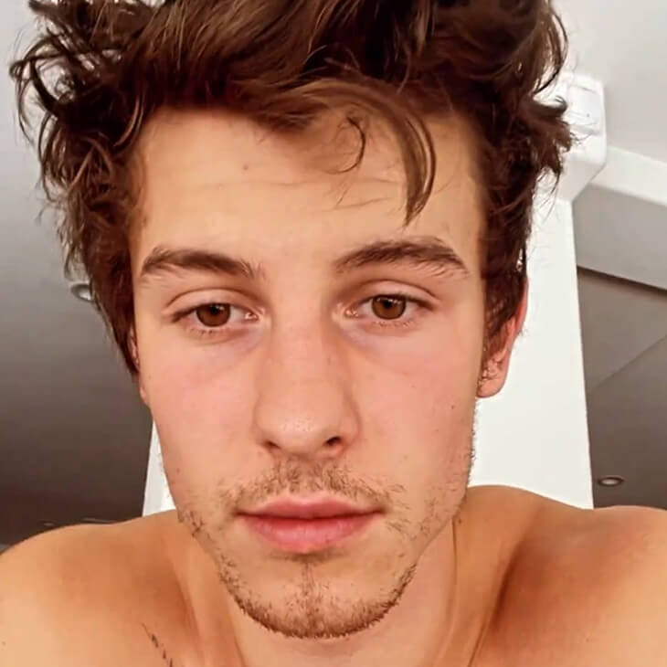 Shawn Mendes | Hairy Male Celebrities | Nads for Men Hair Removal